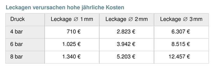 Leckagen können Kosten bis zu 12.457€ im Jahr verursachen.
